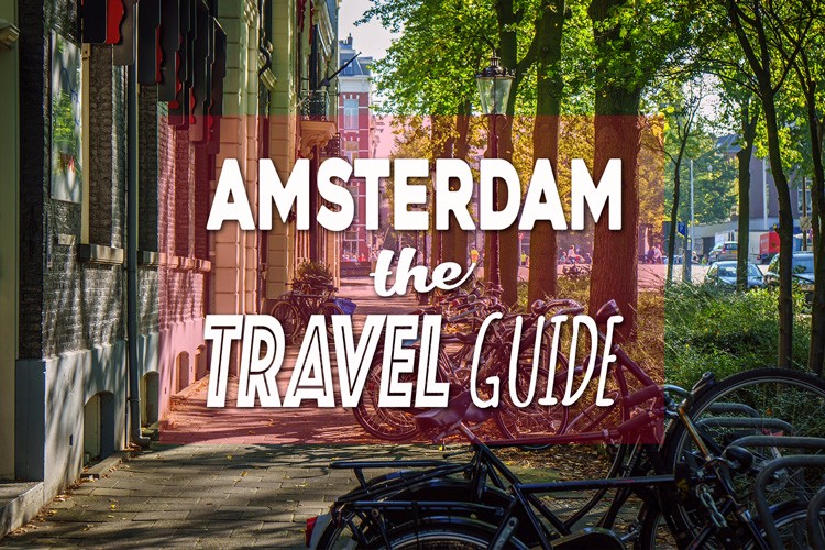 what to do in amsterdam