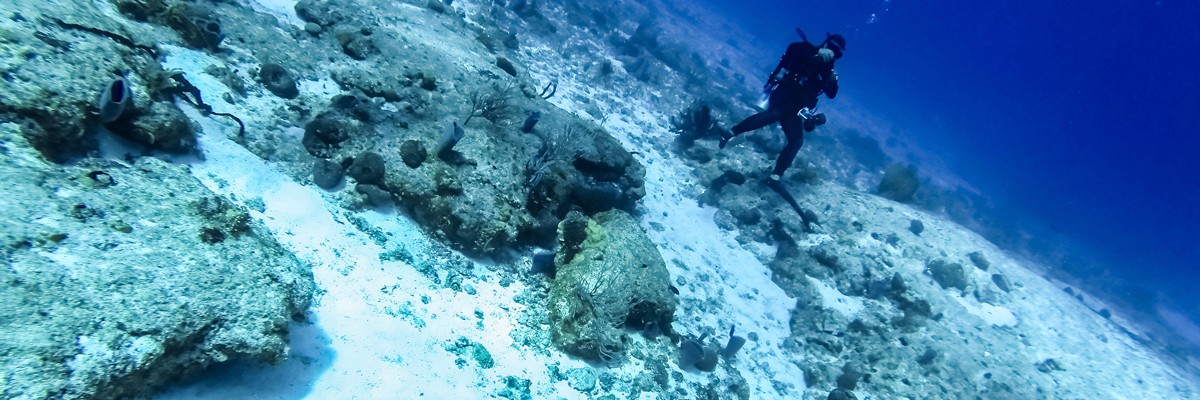cozumel scuba diving