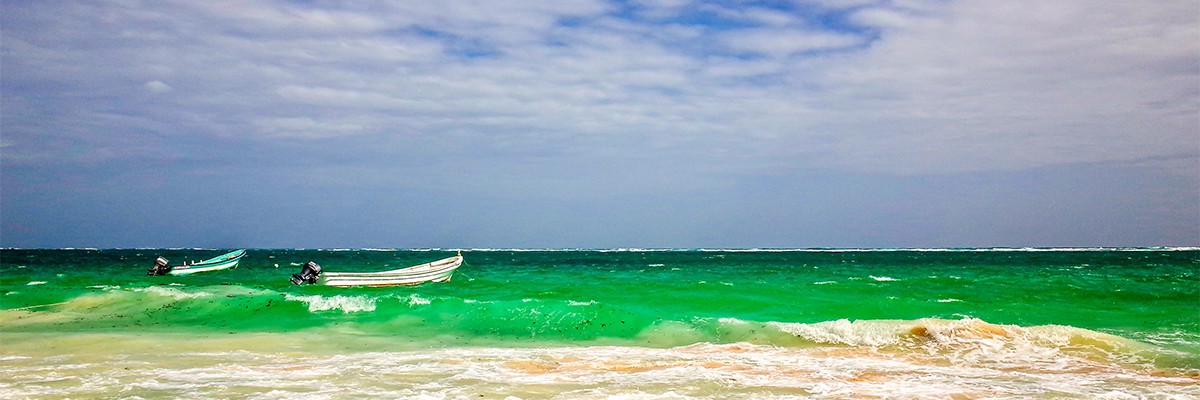 best playa del carmen restaurants