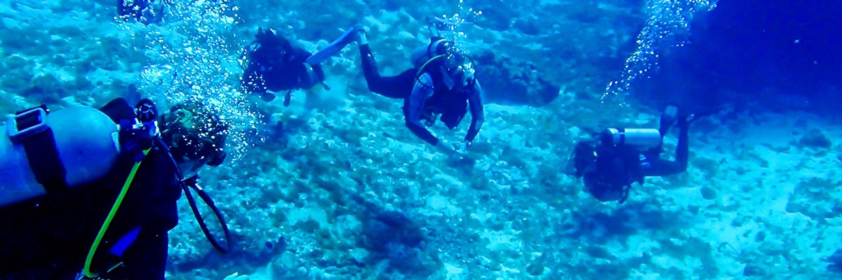 cozumel scuba diving