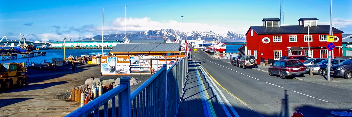 exploring reykjavik