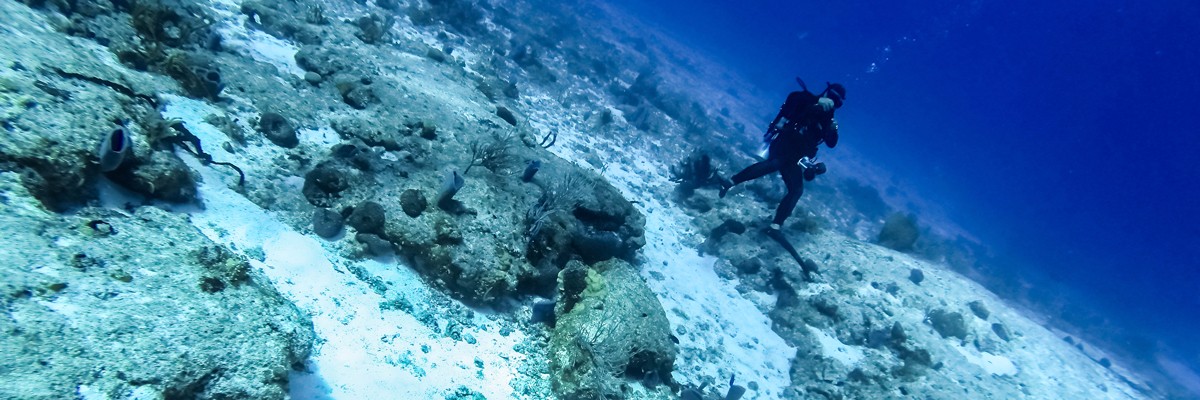 playa del carmen scuba certification