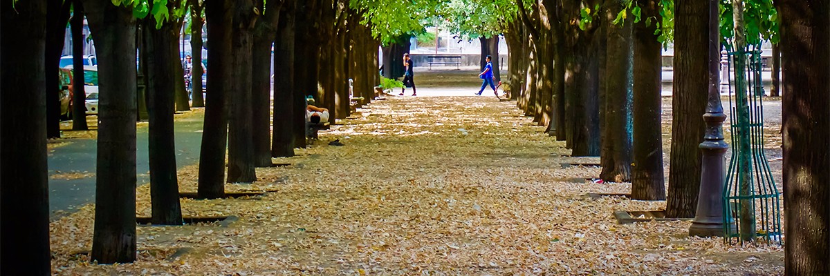 visit paris