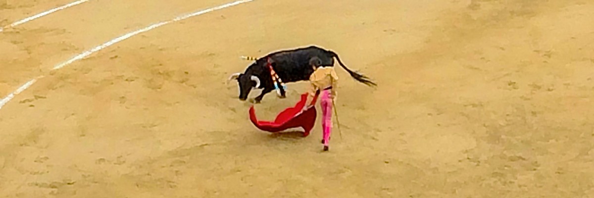 valencia bullfighting