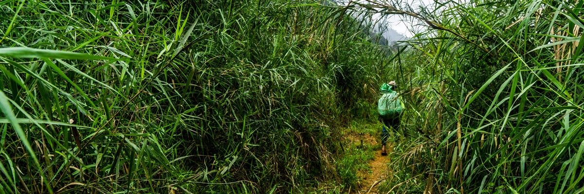 phong nha framed print