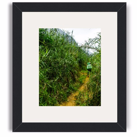 phong nha framed print
