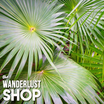 tulum custom trip planning