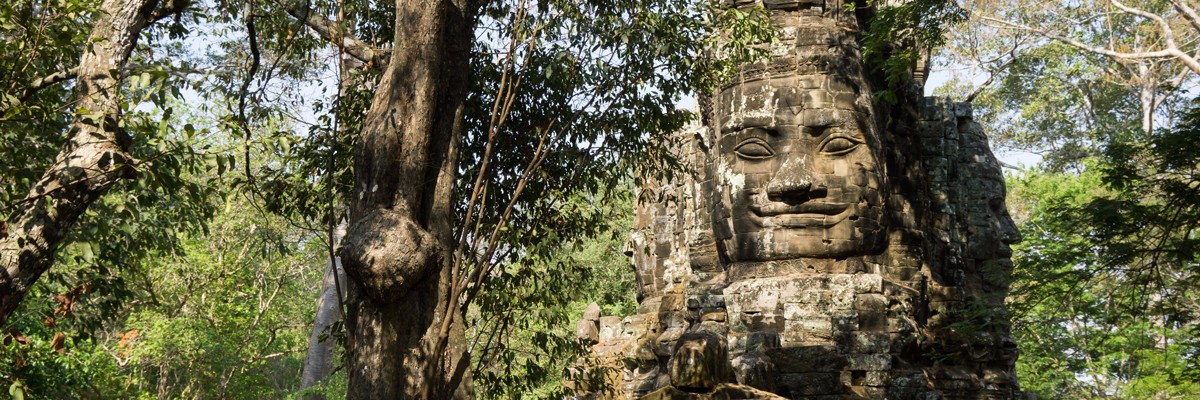 what to do in siem reap