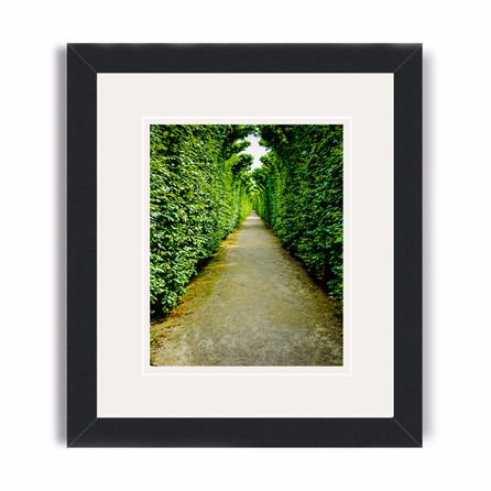 zaragoza framed print